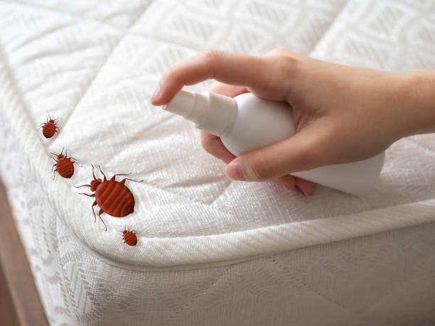 Professional Pest Control in Arapahoe, WY